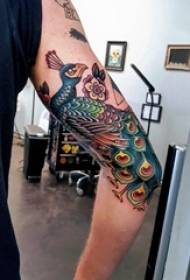 Peacock tatu foto nwa agbọghọ peacock tattoo picture na ogwe aka