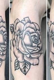 Ramię męskiego tatuażu z różą europejską i amerykańską na wzorze róży z Europy i Ameryki