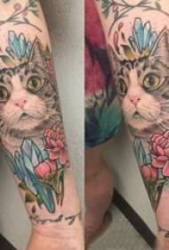 Мала свежа девојка за тетоважа со мачки мала слика за тетоважа со мачки на рака на девојчиња