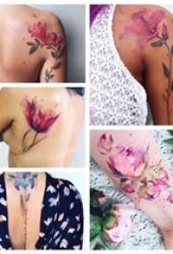 Braccio della ragazza del tatuaggio del fiore letterario sopra l'immagine di schizzo del tatuaggio del fiore di arte