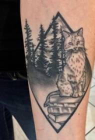 Liten fersk katt tatovering guttearm på svart katt tatoveringsbilde
