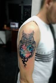 Imagen de tatuaje de personalidad creativa de búho pintado de brazo de niño