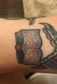 Tattoo books, boy's arms, colored books, tattoo pictures