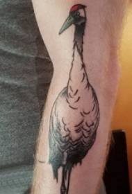 Moksleivio rankos ant juodo taško erškėčių paprastos abstrakčios linijos mažo gyvūno balto krano tatuiruotės paveikslėlis