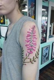 색된 식물 문신 그림에 큰 팔 문신 그림 여자의 팔