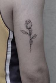 Bras de garçon sur point noir épine simple dessin au trait image de tatouage de fleur de plante fraîche