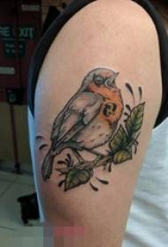 Baieti brat tehnica pictura element plantă mic animal de pasăre tatuaj imagine