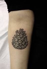 Immagine tatuaggio braccio braccio materiale ragazza pigna nera