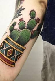 Ramiona chłopców malowane malowane gradientowe geometryczne proste linie Roślin kaktusowy tatuaż