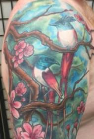 Studente tatuaggio di uccelli maschile sopra l'arti di u tatuu di u tatuu di u fiore