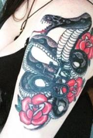 Gyvatės ir gėlių tatuiruotės modelio rankos gyvatės ir gėlių tatuiruotės modelis