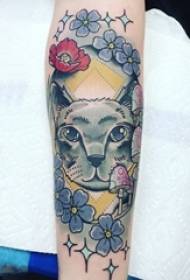 女孩的手臂畫水彩素描文藝美麗可愛貓紋身圖片