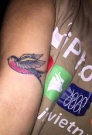 Tetovaža ptica, simpatična slika ptice na djevojčinoj ruci
