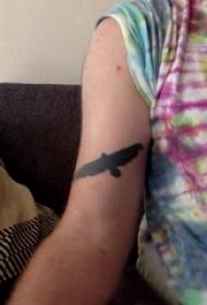 Braccio dello studente maschio del tatuaggio animale di Baile sull'immagine del tatuaggio dell'aquila nera