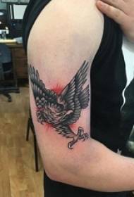 Modello del tatuaggio dell'aquila, braccio maschio, modello del tatuaggio dell'aquila