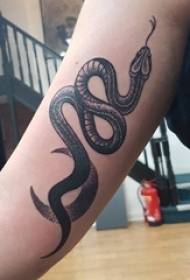 fotografia e tatuazhit krah krahu i djalit në fotografinë e tatuazhit të gjarprit të zi 8184 @ fotografia e tatuazhit të krahut. Vajza e krahut të vajzës me krahë të shtypur foto me tatuazhe