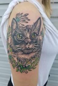 식물과 고양이 문신 사진에 작은 신선한 고양이 문신 소녀의 팔