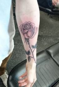 Braccio dipinto tecnica del tatuaggio gradiente tatuaggio tecnica di puntura pianta tatuaggio materiale fiore tatuaggio immagine
