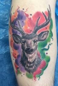 Deer head tattoo male arm sa usa sa ulo ng tattoo ng larawan