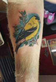 Image de tatouage de bras bras de garçon sur l'image de tatouage oiseau coloré