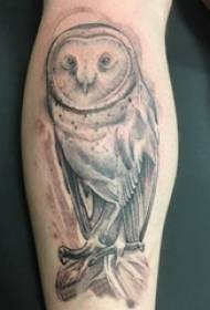 Tamaʻitaʻi tamaʻitaʻi i luga o le laumei Black Gray Sketch Sting Tips Tusitusi Owl Tattoo Picture