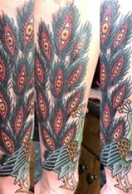 Muška ruka pauna tetovaža na klasičnoj slici tetovaže pauna