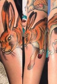 خرگوش ٽتو نمونہ تي ننڍڙي ٽتوٽ خرگوش ٽتوٽ نمونن تي ڇوڪري بازو