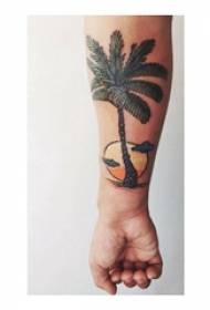 Zēnu rokas uzkrāsotas uz kokosriekstu koka tetovējuma attēla saulrietā