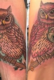 Coppia tatuaggio coppia braccio owl tatuaggio immagine