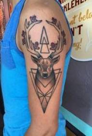 Elk tattoo male student arm elk tattoo picture