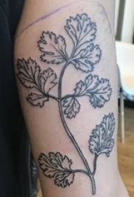 Ręce chłopców na czarnych prostych liniach małe świeże liście roślin tatuaż zdjęcia