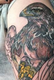 Tattoo eagle patroon meisje op de arm geschilderd tattoo eagle patroon