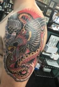 Braccia maschili colorate di tatuaggi di aquila sul modello di tatuaggio di serpente e tatuaggio di aquila colorata