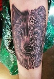 Baile animale tatuaggio maschio studente braccio cucitura immagine tatuaggio testa di lupo