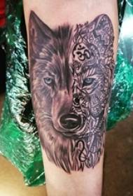 Baile dier tattoo mannelijke student arm stiksels wolf hoofd tattoo foto