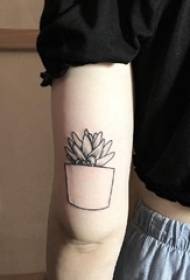 Момиче на ръката на черно сиво точка трън проста геометрична линия растение саксия татуировка снимка