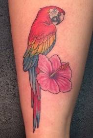 Noha barevný papoušek a ibišek tetování vzor