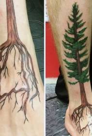 annatu natura koloro pina tatuaje aranĝo