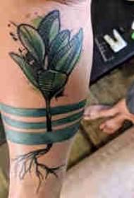 gambo maschio del tatuaggio della pianta sull'immagine colorata del tatuaggio della pianta