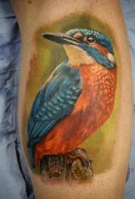 teľa symetrické tetovanie mužskej stopky na farebných fotografiách vtáka tetovanie