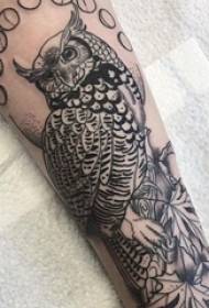 Amathole amathole e-symmetrical tattoo Amantshontsho amagqabi kunye nemifanekiso ye-owl