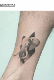 Ragazzi Baile animal tattoo con gambo su quadri di diamanti ed elefanti