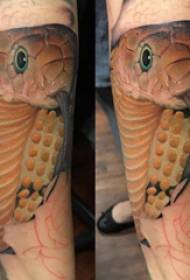 रंगीबिरंगी साप टॅटूच्या चित्रावर बछड्याचे सममितीय टॅटू नर शंक