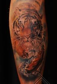 Modello di tatuaggio realistico tigre di colore delle gambe