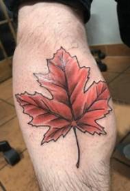 Vitello dei ragazzi del modello del tatuaggio della foglia di acero sul modello del tatuaggio della foglia di acero
