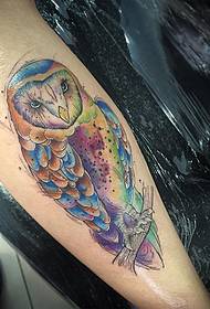 motivo del tatuaggio color gufo splash gufo
