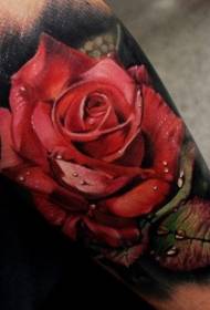 Arm color realistic rose tattoo picture