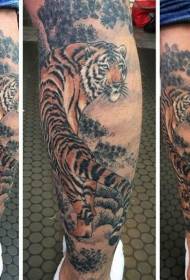 Kafafuwan kyawawan launuka masu alamar tiger tattoo