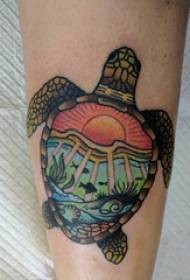 тату черепаха мужской голень на цветной картине тату черепаха