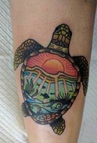 gambo maschio del tatuaggio della tartaruga sull'immagine colorata del tatuaggio della tartaruga